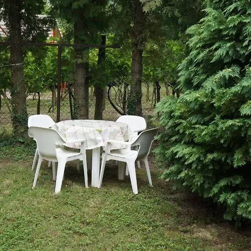 Apartament Maroni Haz *